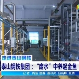 山東泰鋼集團(tuán)雅鹿山綜合水處理廠的出水可以養(yǎng)起金魚(yú)
